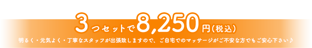 3つセットで8,250円(税込)